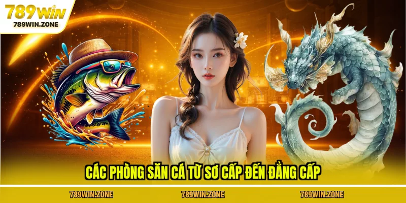 Các phòng săn cá từ sơ cấp đến đẳng cấp