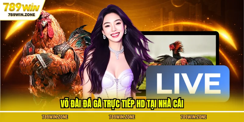Võ đài đá gà trực tiếp HD tại nhà cái